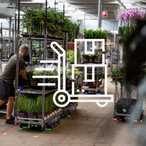 Chariots de plantes dans un entrepôt, solution d'éditeur logiciel supply chain.