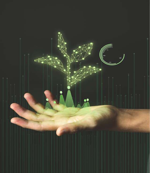 Main ouverte avec plante numérique, symbole des engagements RSE et valeurs WIIO.