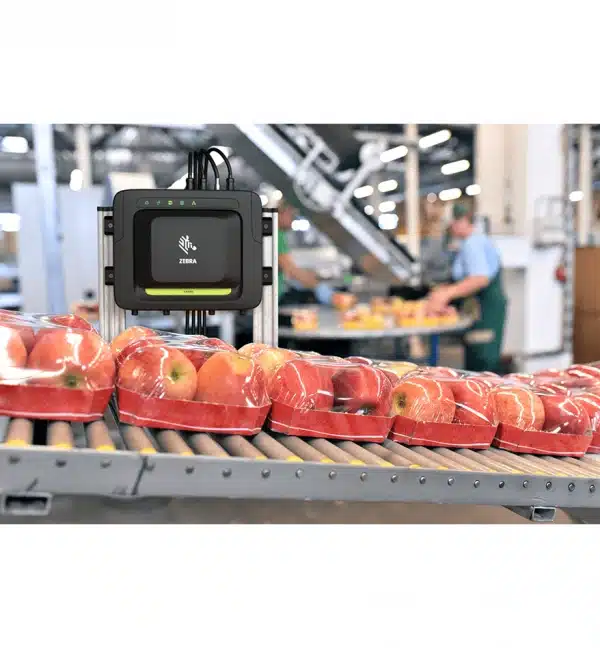 Lecteur RFID Zebra FXR90 surveillant des pommes emballées sur une chaîne de production. Lecteur RFID fixe.